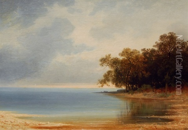 View On A Lake Oil Painting - Franz Xaver Von Riedmuller