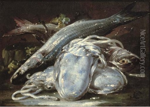 Squid And Fish On A Ledge Oil Painting - Gaetano Cusati