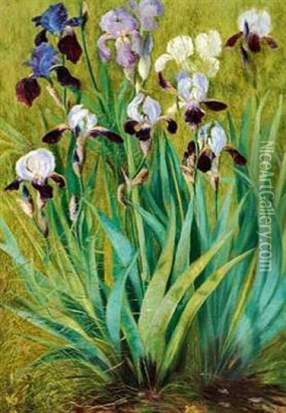 Vildtvoksende Iris Oil Painting - Anthonie Eleonore (Anthonore) Christensen