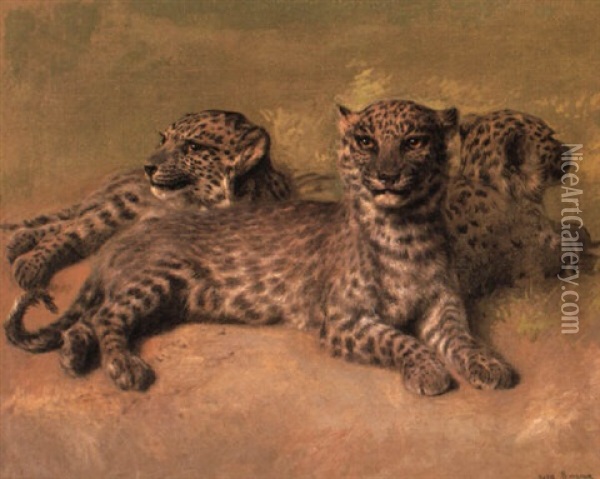 Persian Leopards Oil Painting - Rosa Bonheur