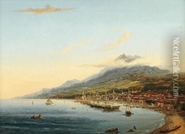 Vue De Saint Pierre Martinique Oil Painting - Louis Gamain