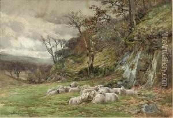 Sheltering From The Storm Oil Painting - Charles James Adams