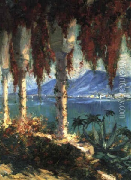 Cap Ferrat, Cote D'azur Oil Painting - Gustave Flasschoen