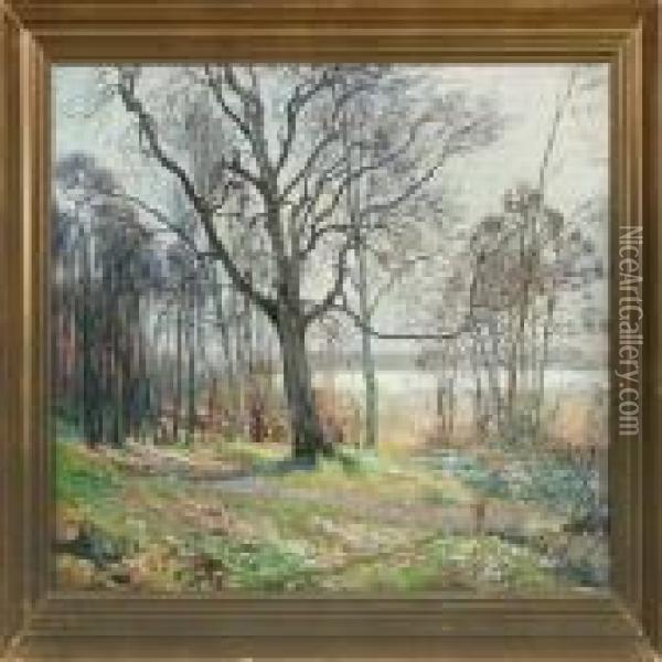 Spring Forest With Anemone Oil Painting - Olaf Viggo Peter Langer