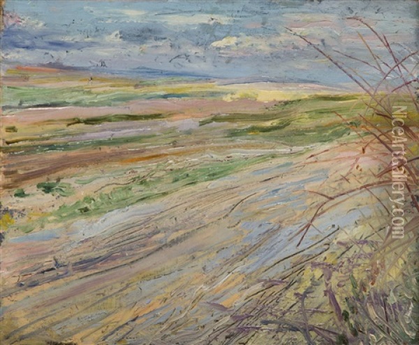 Landscape - Fields Oil Painting - Stanislaw Wyspianski