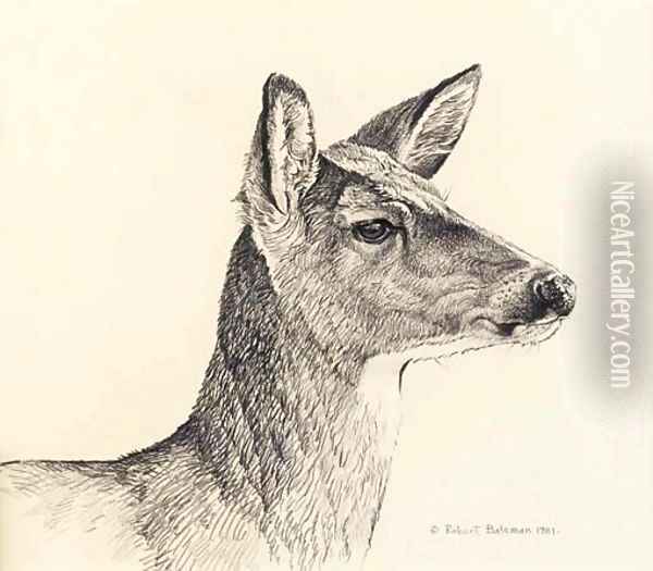White-Tailed Deer Oil Painting - Robert Bateman
