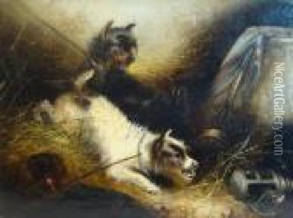 Two Tethered Terriers And A Rat In An Interior Oil Painting - George Armfield