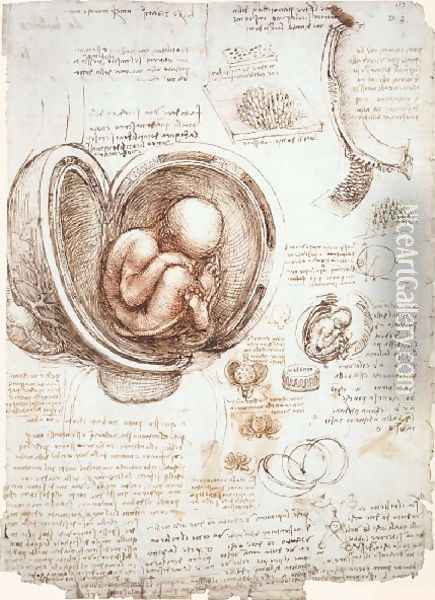 Studies Of Embryos Oil Painting - Leonardo Da Vinci