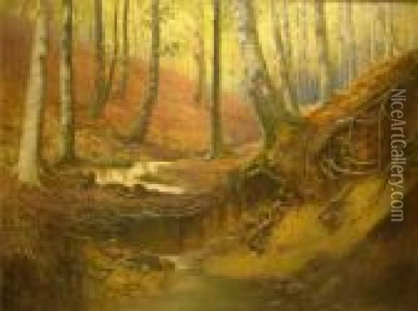 Herbstlicher Waldbach Oil Painting - Max Martini