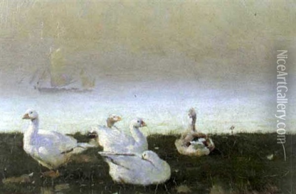 Snow Geese By The Sea Oil Painting - Frank Richards