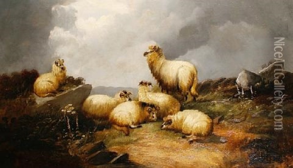 Sheep In A Highland Landscape Oil Painting - John W. Morris