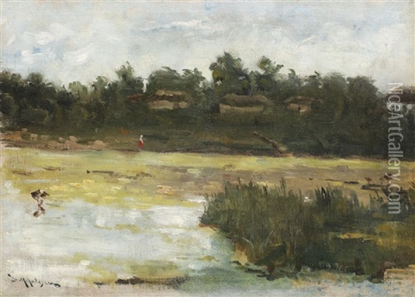 Landscape From The Delta Oil Painting - Dimitrie Mihailescu