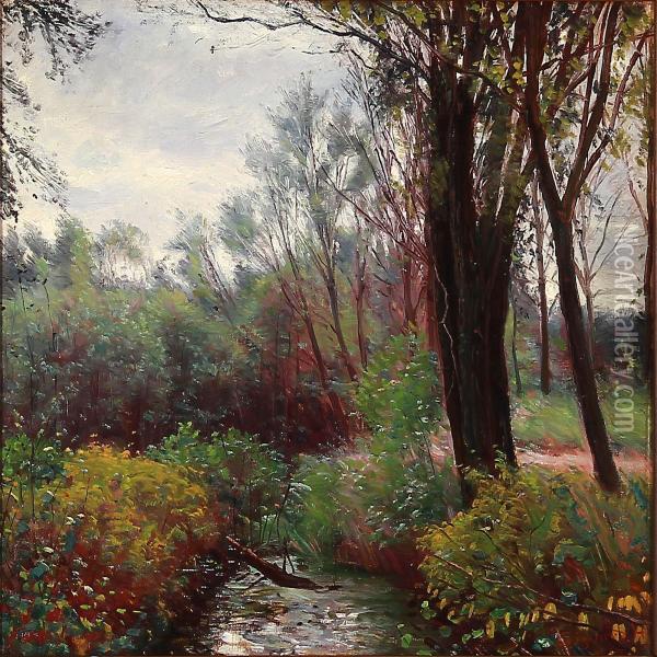 Forest Scene With A Stream Oil Painting - Sigvard Hansen