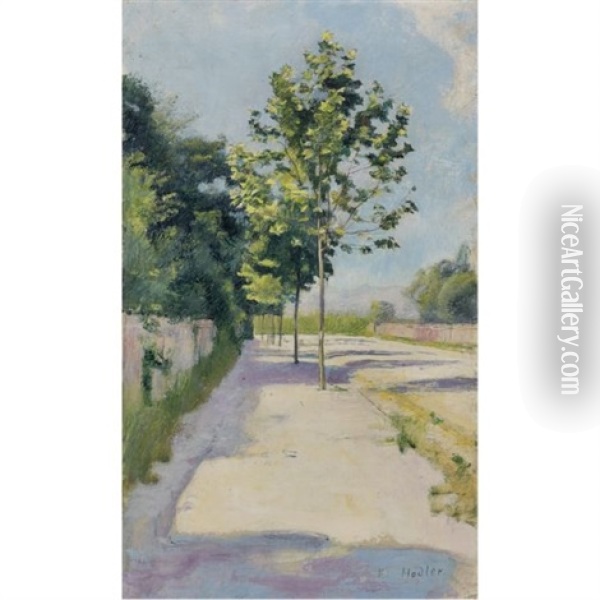 Strasse Von St. Georges (street Of St. Georges) Oil Painting - Ferdinand Hodler