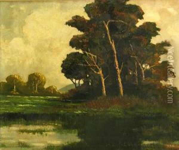 Tree By A Pond Oil Painting - Johann Schuld