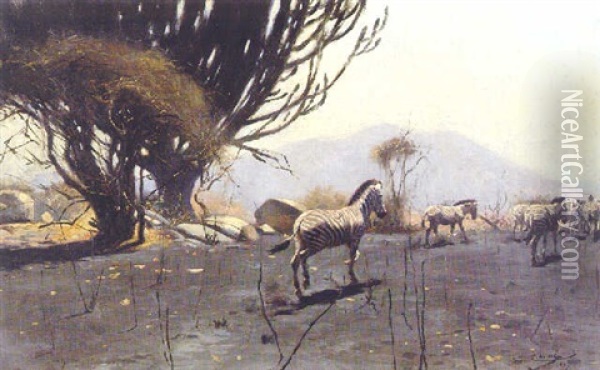 A Herd Of Zebras Oil Painting - Wilhelm Friedrich Kuhnert