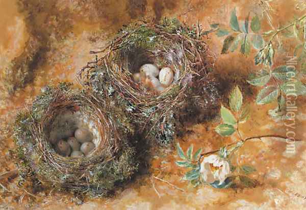 Still life with birds' nests Oil Painting - William Henry Hunt