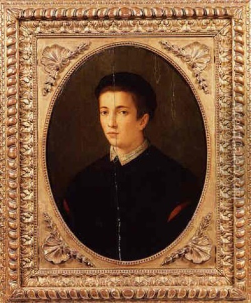 Ritratto Di Giovane Uomo Oil Painting - Alessandro di Cristofano Allori