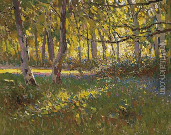 A Sunlit Wood Oil Painting - Frederick Hall