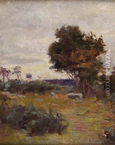 Landscape With Trees Oil Painting - Sarah Henrietta Purser