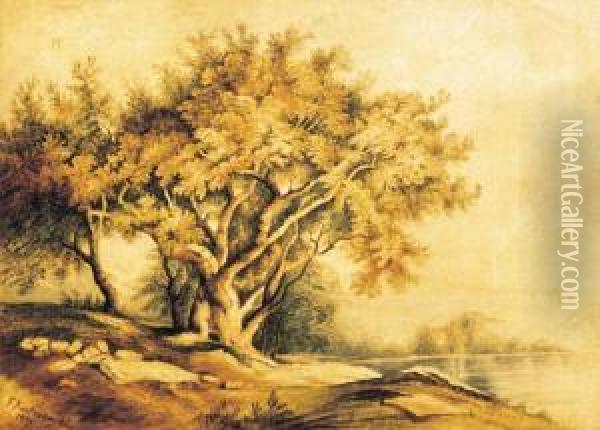 Studium Drzew Oil Painting - Franciszek Kostrzewski