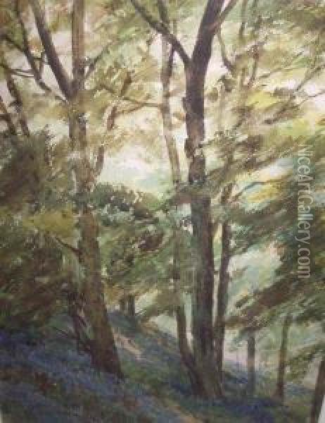 Bluebell Wood Oil Painting - Frank Saltfleet