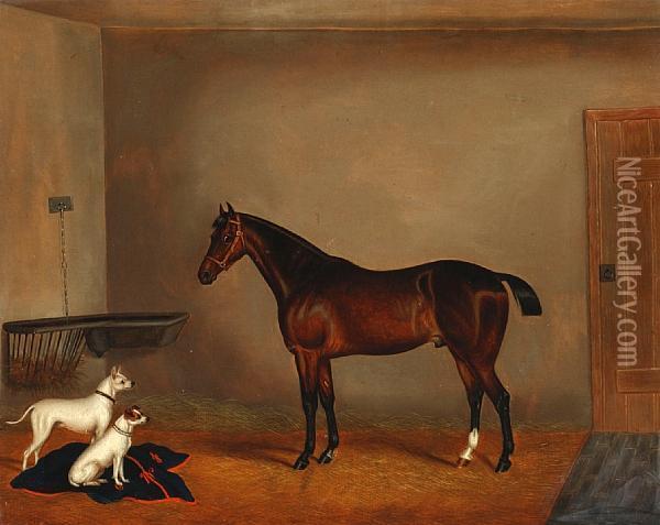 Bay Hunter And Two Terriers In A Stable Oil Painting - Edwin Loder