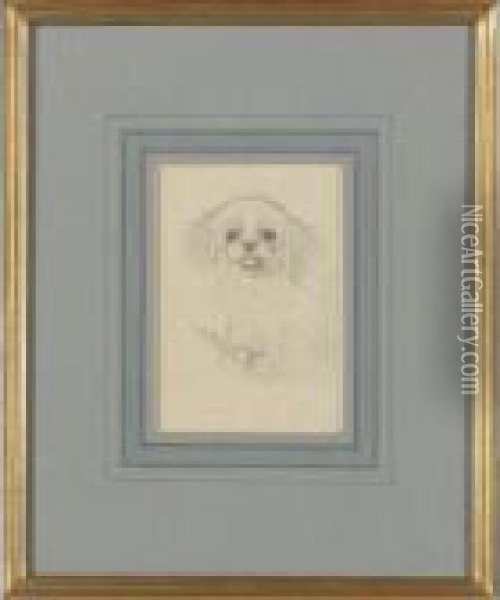Sketch Of A Dog Oil Painting - Louis William Wain