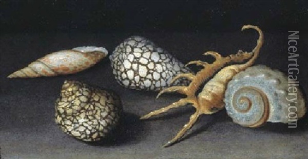 Shells On A Table Oil Painting - Balthasar Van Der Ast