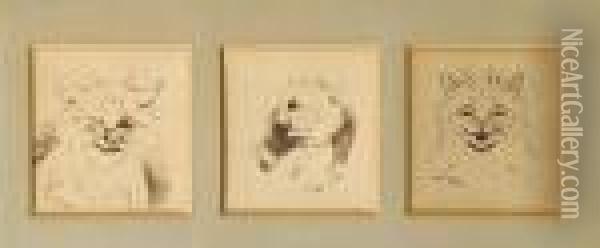 Wink Wink; Unbelievable!; How Delightful! (aset Of Three Within One Frame) Oil Painting - Louis William Wain