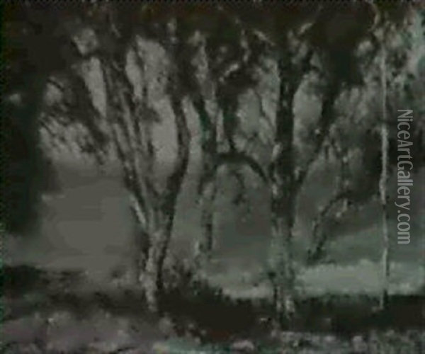 Trees Oil Painting - Hermann Dudley Murphy