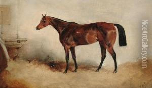Beeswing, A Bay Horse In A Stable Oil Painting - Charles Bilger Spalding