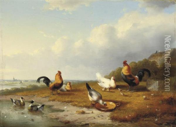 Poultry In An Extensive Landscape Oil Painting - Albertus Verhoesen
