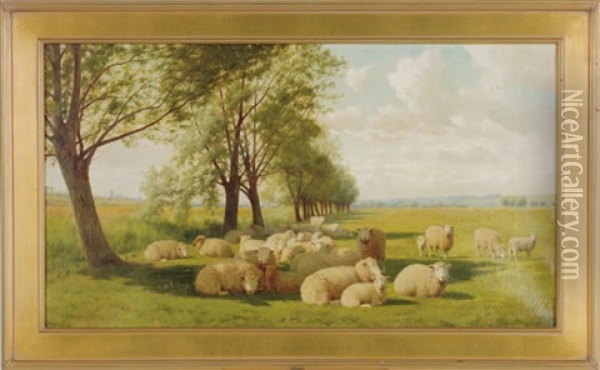 Sheep Resting In A Meadow Oil Painting - William Sidney Cooper