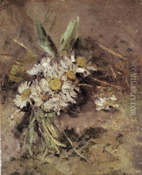 Ganseblumchen Auf Dem Waldboden Oil Painting - Anna Peters