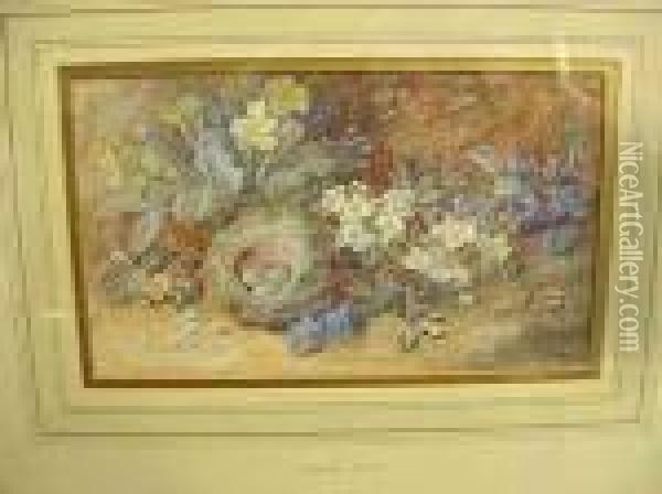 Stilllife With Birds Nests And Eggs Among Primroses And Blossom Oil Painting - Vincent Clare
