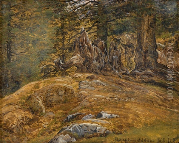 Waldpartie Bei Rosenlaui Im Grindelwald In Der Schweiz Oil Painting - Janus la Cour