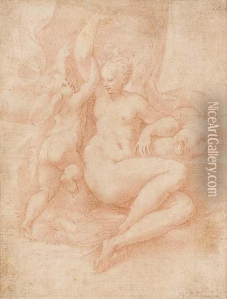 Venus Desarmant L'amour Oil Painting - Girolamo Mazzola Bedoli
