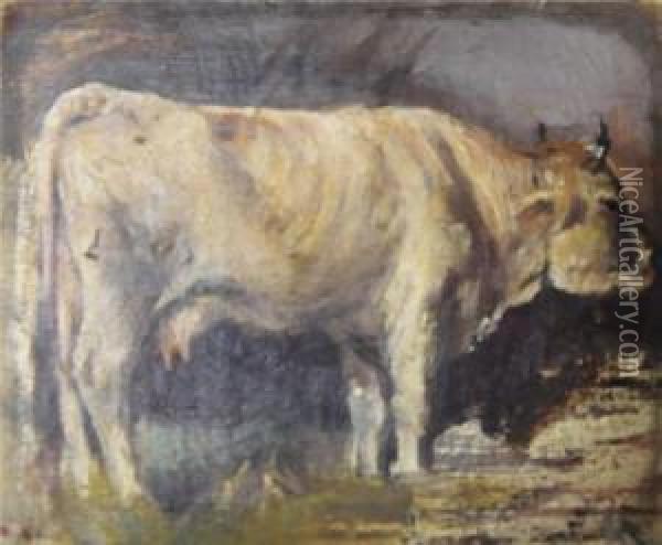 Studie Einer Kuh Oil Painting - Oscar Zwintscher