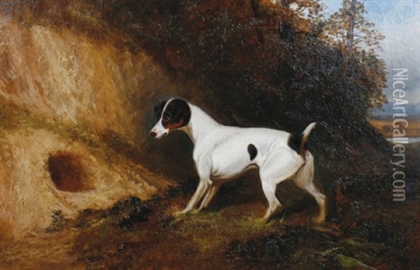 Terrier By A Fox Hole Oil Painting - Colin Graeme