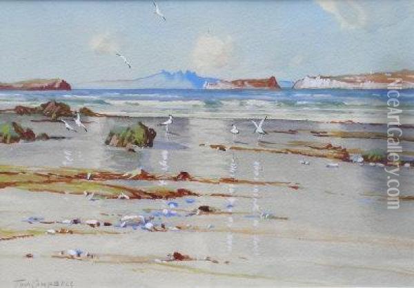 The Brown Isles - Lewis Oil Painting - Thomas, Tom Campbell