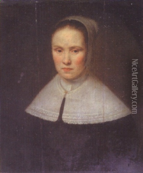 Portrait Of A Young Lady Oil Painting - Cornelis Jonson Van Ceulen