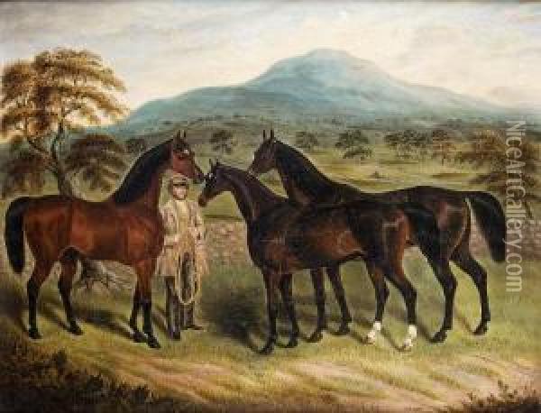 Three Horses With A Man Holding A Bridle In A Tipperarymountainscape Oil Painting - Samuel Spode