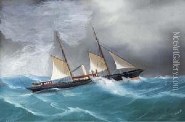 The Royal London Yacht Club's Steam Yacht Queen Marfisa Oil Painting - Atributed To A. De Simone