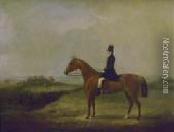 Huntsman Astride His Horse Oil Painting - William Henry Davis