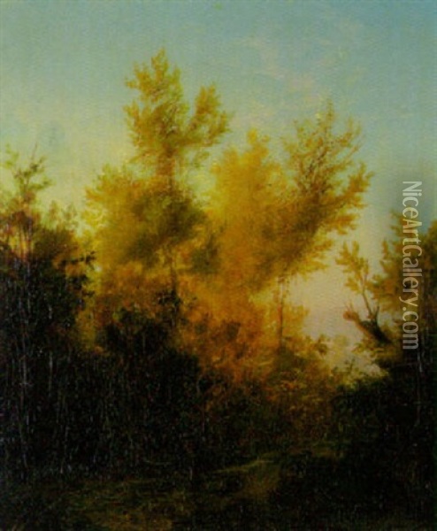 Waldlandschaft Mit Herbstlichen Baumen Oil Painting - Arnold Boecklin