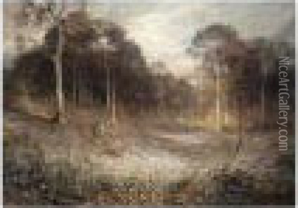 Woodlands Gay With Lady Smocks Oil Painting - Rex Vicat Cole