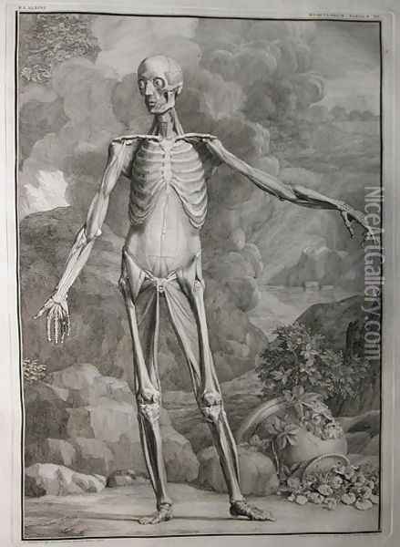 Albinus I, Tab. III: Musculature, illustration from 'Tabulae sceleti et musculorum corporis humani', by Bernhard Siegfried Albinus (1697-1770), published by J.&H. Verbeek, bibliop., Leiden, 1747 Oil Painting - Jan Wandelaar