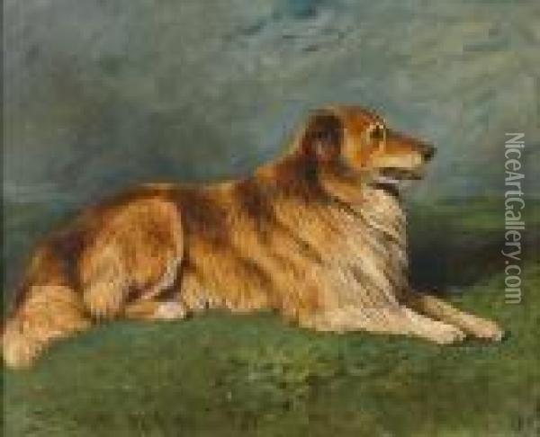 Roy - A Collie In A Landscape Oil Painting - John Emms