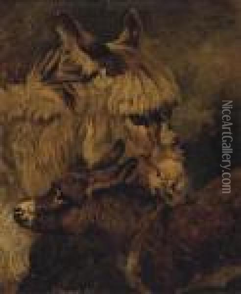 A Donkey And Foal Oil Painting - John Emms